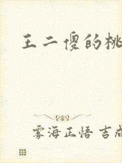王二傻的桃花运