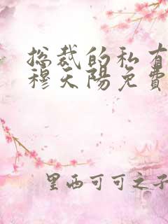 总裁的私有宝贝穆天阳免费