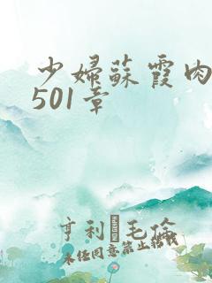 少妇苏霞肉欲第501章