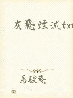 灰飞烟灭txt