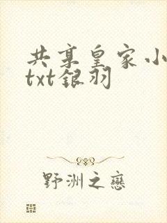 共享皇家小公主txt银羽