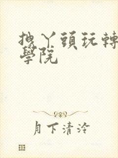 拽丫头玩转美男学院