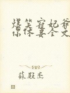 爆笑宠妃爷我等你休妻全文免费阅读