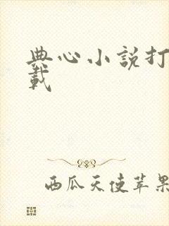 典心小说打包下载