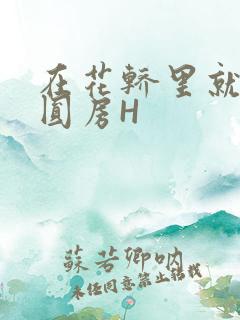 在花轿里就开始圆房H