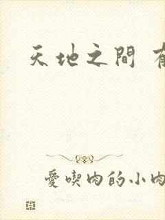 天地之间 有声