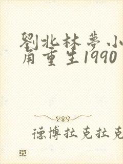 刘北林梦小说主角重生1990