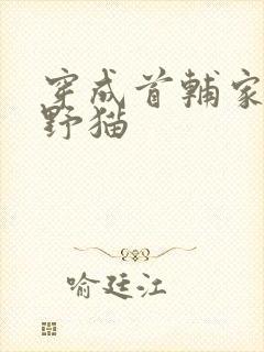 穿成首辅家的小野猫