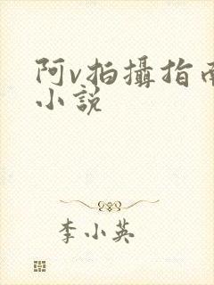 阿v拍摄指南说小说
