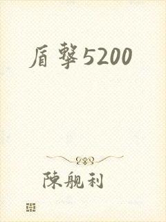 盾击5200