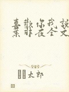 喜欢你我说了算叶非夜全文免费阅读