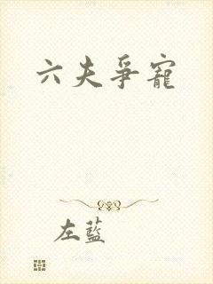 六夫争宠