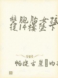 双胞胎女孩双双从14楼坠下