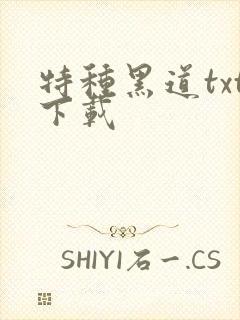 特种黑道txt下载