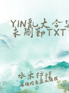 YIN乱大合集未删节TXT下载