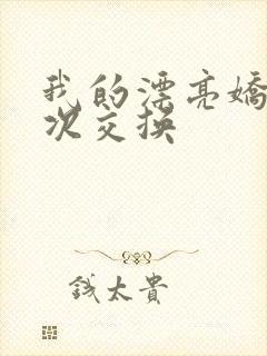 我的漂亮娇妻初次交换