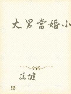 大男当婚小说