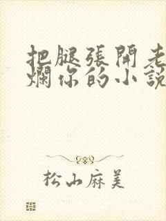 把腿张开老子臊烂你的小说