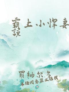 霸上小悍妻 小说