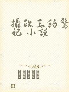 摄政王的惊世嫡妃 小说