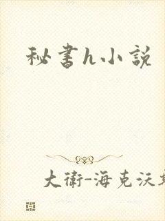 秘书h小说