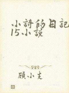 小诗的日记1一15小说