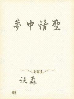 梦中情圣