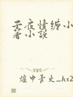 子夜情缠小说原著小说