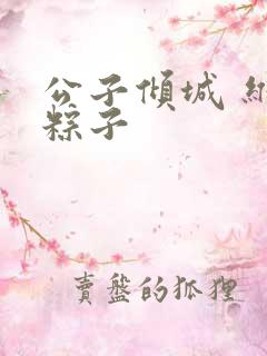 公子倾城 维和粽子