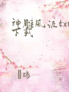 神雕风流txt下载
