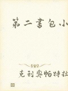 第二书包小说网