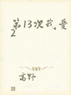 第13次我爱你2