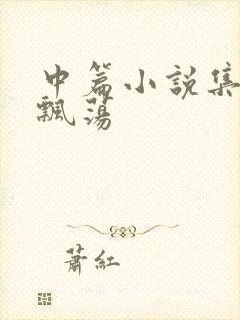 中篇小说集随风飘荡