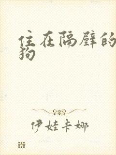 住在隔壁的小狼狗