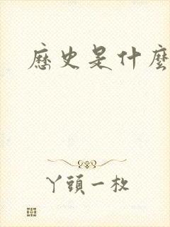 历史是什么玩意