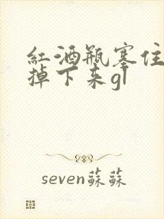 红酒瓶塞住不准掉下来gl