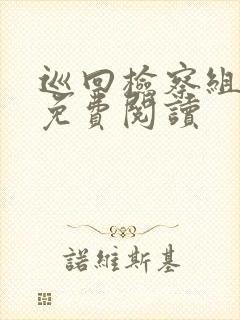 巡回检察组小说免费阅读