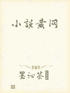 小说黄网