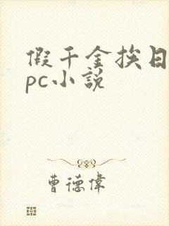 假千金挨日记npc小说