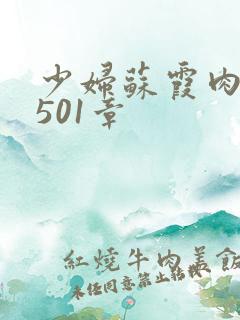 少妇苏霞肉欲第501章