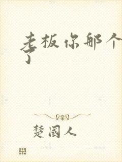 老板你那个太长了