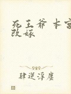 死王爷 本宫已改嫁