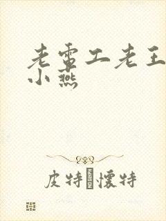 老电工老王和李小燕