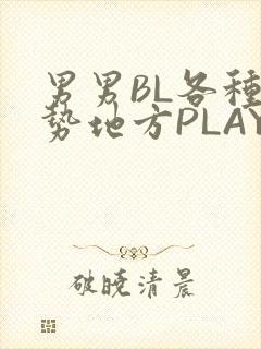 男男BL各种姿势地方PLAY文