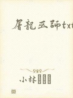 屠龙巫师txt