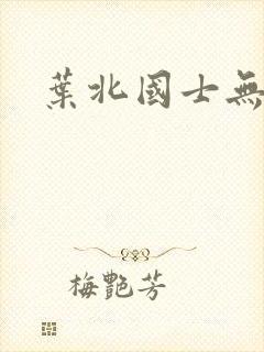 叶北国士无双