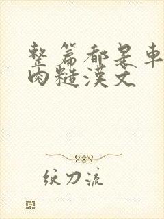 整篇都是车的多肉糙汉文