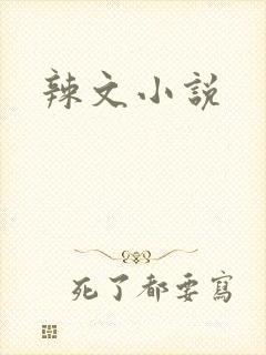 辣文小说