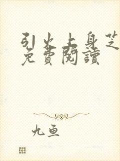 引火上身芝麻糖免费阅读