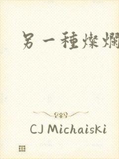 另一种灿烂生活